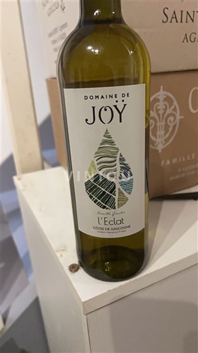 Sud-Ouest Côtes de Gascogne Domaine Joy L'Eclat 2021