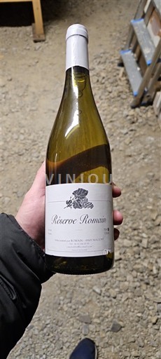 Loirevallei Muscadet-Sèvre-et-Maine Réserve Romain Niet-geïntegreerd