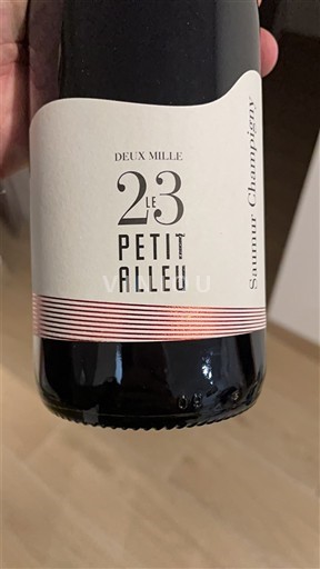 Dolina Loare Saumur-champigny Le Petit Alleu 2023