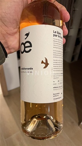 Provence, Lower Rhône Valley, Corsica Mediterranean Domaine Sannes Non-Vintage