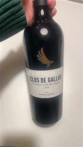 Valenciaregionen Valencia Vicente Gandia Clos de Gallur 2020