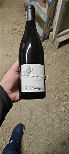 Rhônevallei Côtes-du-rhône-villages Domaine S Escaravailles Les Antimagnes 2021