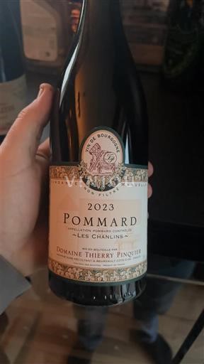 Burgundi Pommard Domaine Thierry Pinquet Les Chanlins 2023