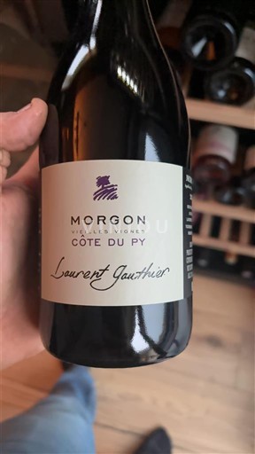 Beaujolais Morgon Laurent Gauthier Côte du Py Vieilles Vignes 2023