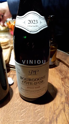 Burgundija Bourgogne zlata obala Domaine Louis Lequin & Fils 2023