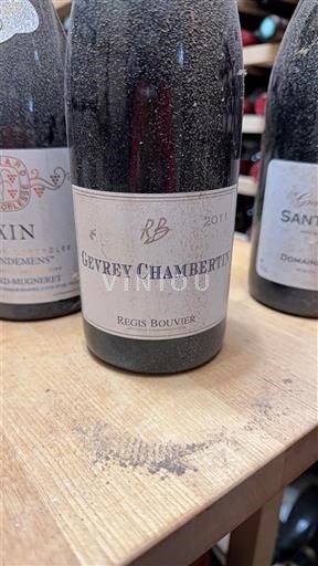Borgogna Gevrey-Chambertin Régis Bouvier 2011