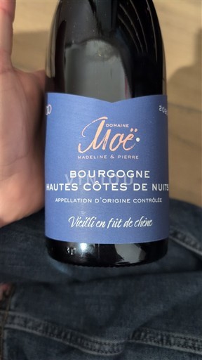 Borgogna Hautes Côtes de Nuits Domaine Moë 2020
