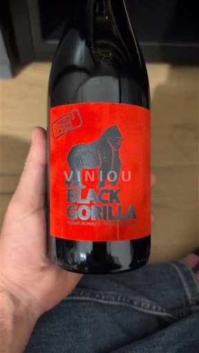 Languedoc-Roussillon Hérault ' Black Gorilla 2024