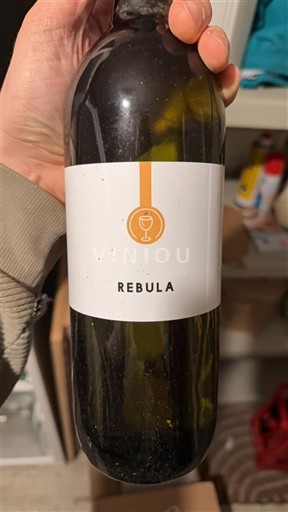 Primorska Goriška Brda Rikotova Kmetija Rebula 2020