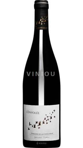 Valle del Loira Saint-Nicolas-De-Bourgueil Domaine La Cotelleraie L’Envolée 2018