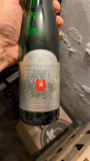 Limburg Apostelhoeve Müller Thurgau 2023