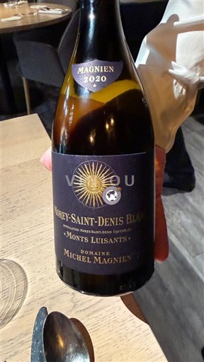 Borgoña No especificado Premier Cru Domaine Michel Magnien Monts Luisants 2020