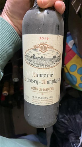 Sudoeste Côtes de Gascogne Domaine Boscq-Monplaisir 2019