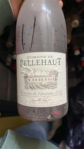 Sydvestfrankrig Côtes de Gascogne Domaine Pellehaut Famille Béraut 2012