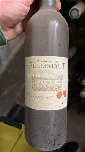 Tây Nam Côtes de Gascogne Domaine Pellehaut L'Été Gascon 2012