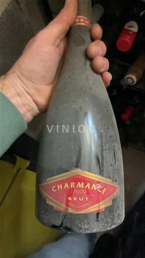 Loiredalen Anjou Charmance Icke årgångsbetecknad