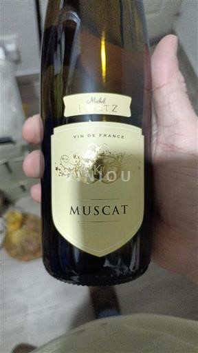 Alsazia Moscato Michel Katz 2022