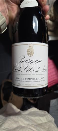 Borgoña No especificado Domaine Dominique Guyon 2023