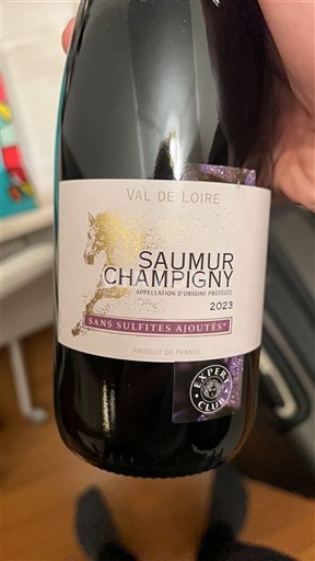 Dolina Loare Saumur-champigny Sans Sulfites Ajoutés 2023