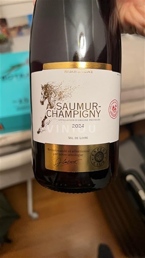 Dolina Loare Saumur-champigny JSP 2024