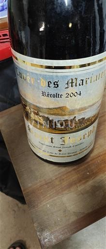 Rona dolina Saint-Joseph Cave de Saint-Désirat des Mariniers 2004