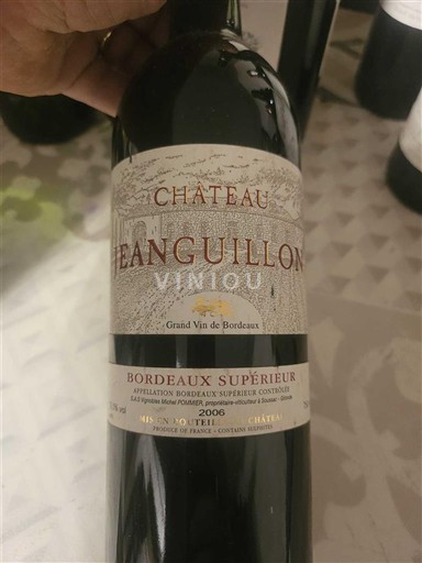 Burdeos Bordeaux superior Château Jeanguillon 2006