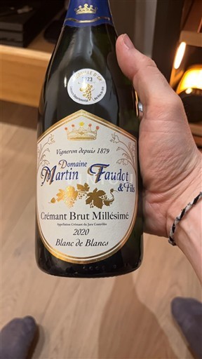 Jura Crémant-du-Jura Domaine Martin Faudot & Fils Crémant Brut Millésimé Blanc de Blancs 2020