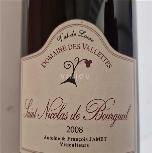 Valle del Loira Saint-Nicolas-De-Bourgueil Domaine S Vallettes 2008