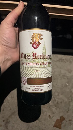 Bordeaux Saint-Émilion Grand Cru Côtes Rocheuses 1993
