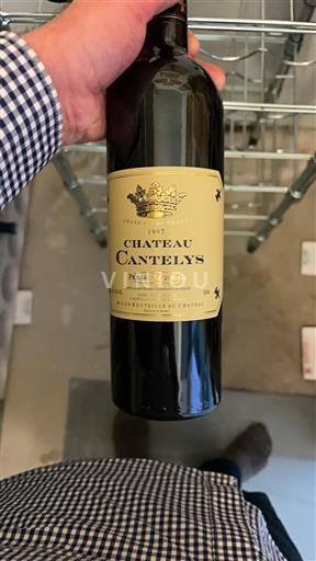 Vini Rouge sec Château Cantelys 1997 Francia Bordeaux Pessac-Léognan AOC