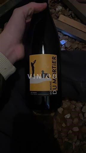 Valle del Loira Saint-Nicolas-De-Bourgueil Domaine Mortier Les Sables Sin añada