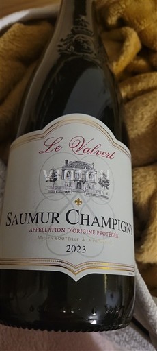 Vallée de la Loire Saumur-champigny Le Valvert 2023