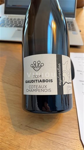 Champaña Coteaux champenois Tom Gauditiabois Exploration E/11 2023