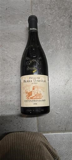 Rona dolina Châteauneuf-du-Pape Domaine Pierre Usseglio et Fils 2006