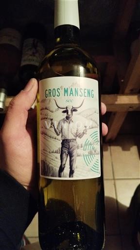 Sydvestfrankrig Côtes de Gascogne Gros Manseng sec 2023