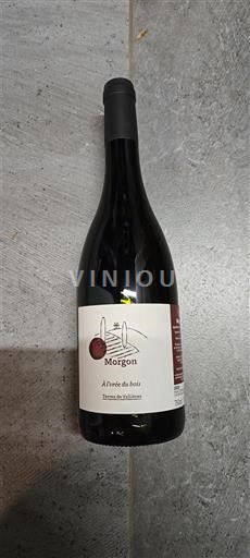 Beaujolais Morgon Domaine Lathevalle À l'ombre du bois 2023