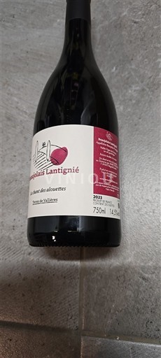Beaujolais Domaine L’Ancienne Ecurie Les Amis des Alouettes 2023