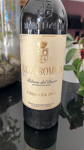 Castille và León Ribera del Duero Matarromera Crianza 2013