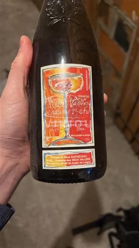 Vale do Loire Coteaux-du-layon Domaine S Deux Vallées Chaume 1er Cru 2004