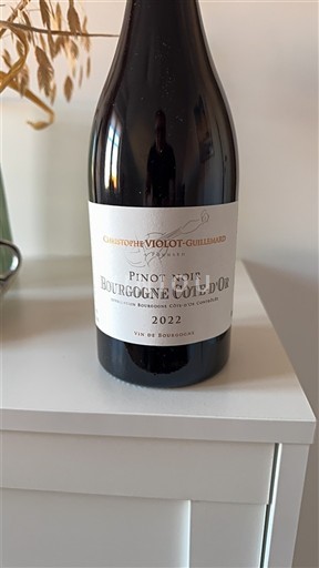 Burgundija Bourgogne zlata obala Christophe Violot-Guillemard 2022