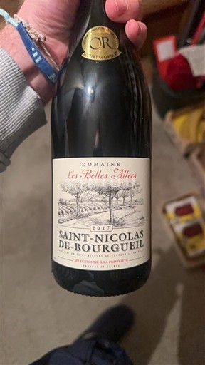 Valle del Loira Saint-Nicolas-De-Bourgueil Domaine Les Belles Allées 2017