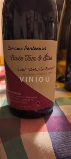 Valle del Loira Saint-Nicolas-De-Bourgueil Domaine Pontonnier Tom & Elisa 2023