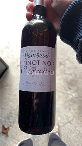 Languedoc ja Roussillon Pays d'Oc Domaine Cambriel Pinot Noir de Pauline 2017