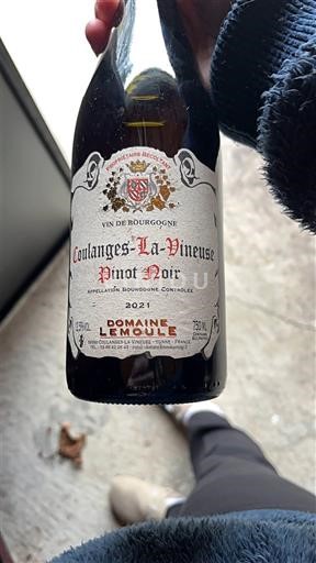 Borgoña No especificado Domaine Lemoule 2021