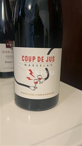 Alps and Rhone Valley Ardèche Domaine S Gravenne Coup de Jus 2021