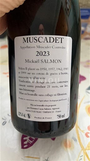 Valle della Loira Muscadet Château -Thébaud Les Brosses Mickaël Salmon 2023