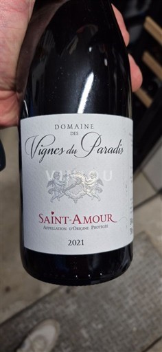 Beaujolais Thánh Tình Yêu Domaine S Vignes du Paradis 2021