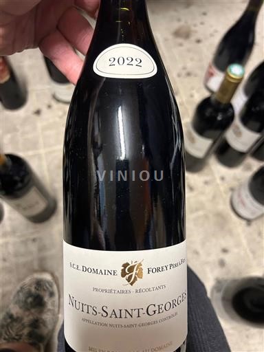 Borgogna Nuits-Saint-Georges Domaine Forey Père et Fils 2022