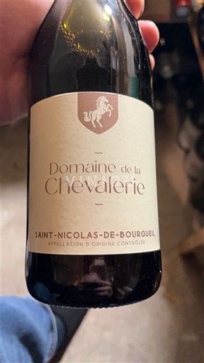 Valle del Loira Saint-Nicolas-De-Bourgueil Domaine La Chevalerie 2022
