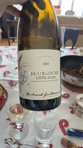 Burgundija Bourgogne zlata obala Bertrand Guillemaud 2022